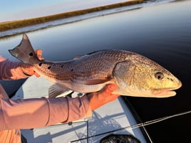 Conventional Fishing Charter