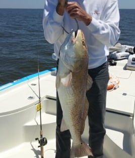 Greater New Orleans Inshore Fishing