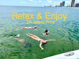 1.5 Hour sighting Dolphins Criuse