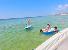 1.5 Hour sighting Dolphins Criuse