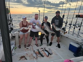 Big Lake Fishing Trips