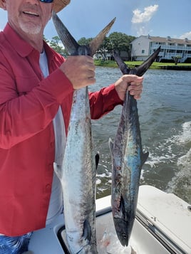 Fishing Charters North Carolina