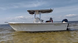 6 Hour Nearshore Bottom Fishing