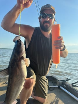 North Mississippi Catfishing Adventure