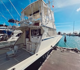 Fishing Charter 41ft A/C OnBoard