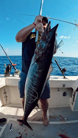 The Best Fishing Charter in Cancun. +380 Excellent Reviews