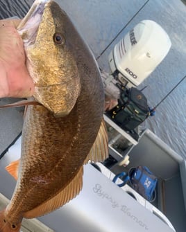 Louisiana Fishing Guide Full Day Fishing Adventure!