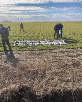 Duck and Goose w/ Lodging