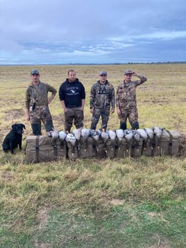 Duck and Goose w/ Lodging