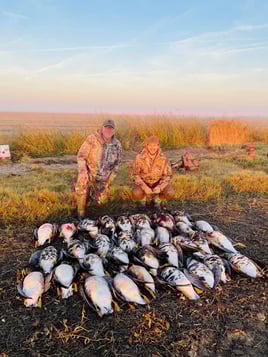 Duck and Goose w/ Lodging