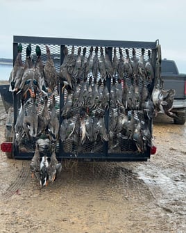 Duck and Goose w/ Lodging