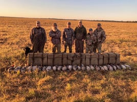 Duck and Goose w/ Lodging