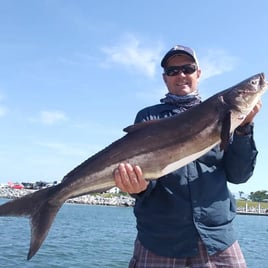 6-8 Hours Offshore Morning Trip