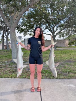 Shark Fishing Experience