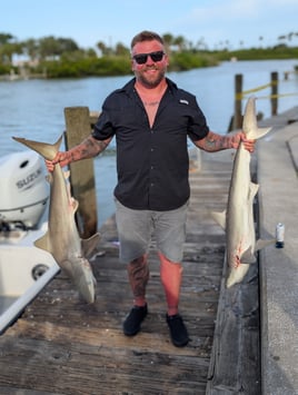 Shark Fishing Experience