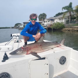 Shark Fishing Experience