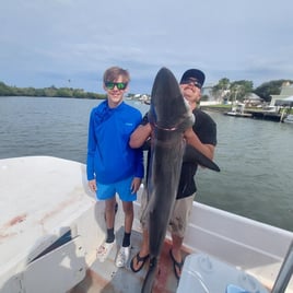 Shark Fishing Experience