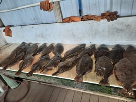 POC Flounder Gigging