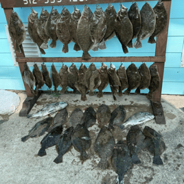 POC Flounder Gigging