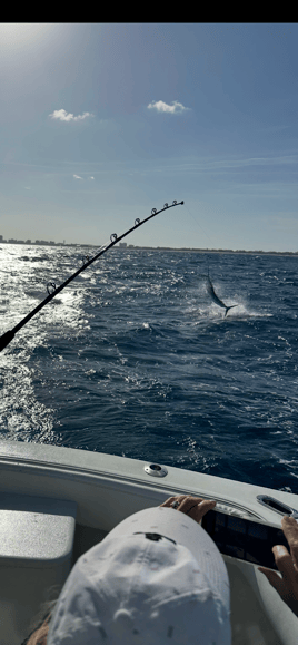 Luxury Trolling Trip