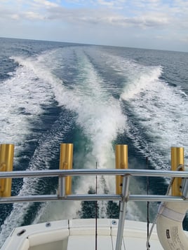 Luxury Trolling Trip