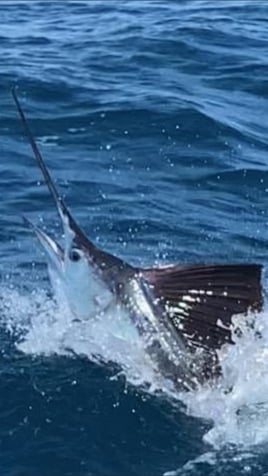 Luxury Trolling Trip