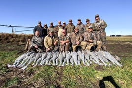 Texas Sandhill Crane