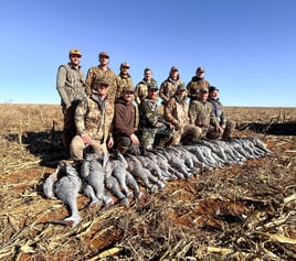 Texas Sandhill Crane