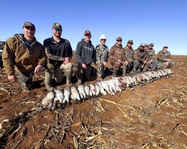 Texas Sandhill Crane