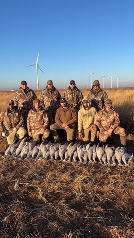 Texas Sandhill Crane