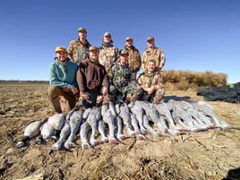 Texas Sandhill Crane