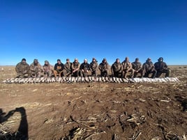 Texas Panhandle Goose Hunt