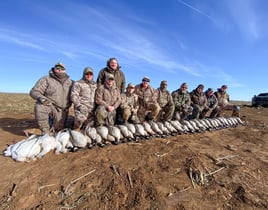 Texas Panhandle Goose Hunt