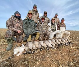 Texas Panhandle Goose Hunt