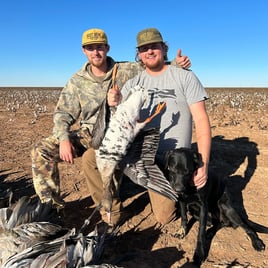 Texas Panhandle Goose Hunt