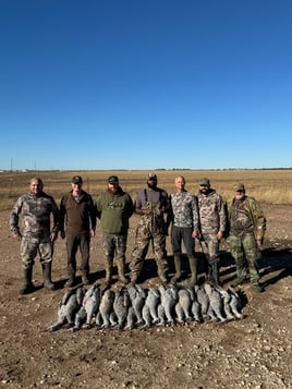 Premier Sandhill Crane hunting