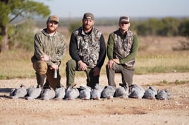 Premier Sandhill Crane Hunting