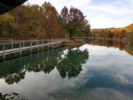 Turkey Hunt & Lodging (4 Nights)