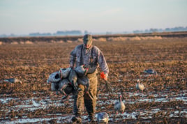 Goose Hunts