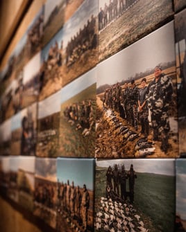 Goose Hunts w/ Meals & Lodging