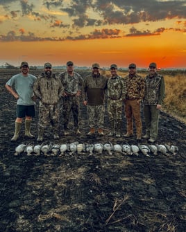 Goose Hunts w/ Meals & Lodging