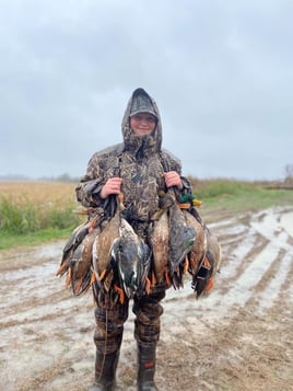 Duck Hunts w/ Meals & Lodging