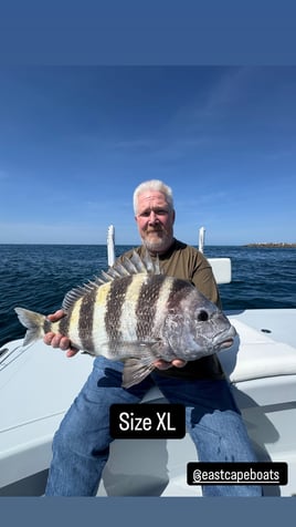 4 Hour Inshore Fishing