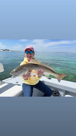 4 Hour Inshore Fishing