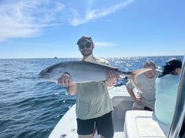 4 Hour Inshore Fishing