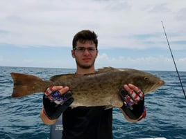 Gag Grouper 20-50 Miles Offshore
