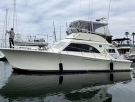 Sportfishing or Sharking - 47'