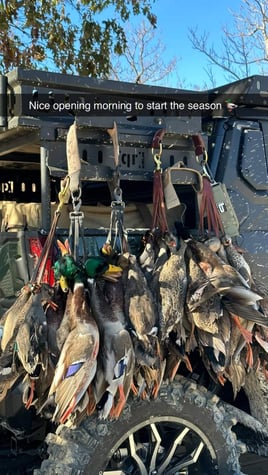 Duck Hunting w/ lodging available