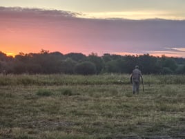 DOVE HUNTING - San Antonio area