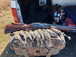 DOVE HUNTING - San Antonio area